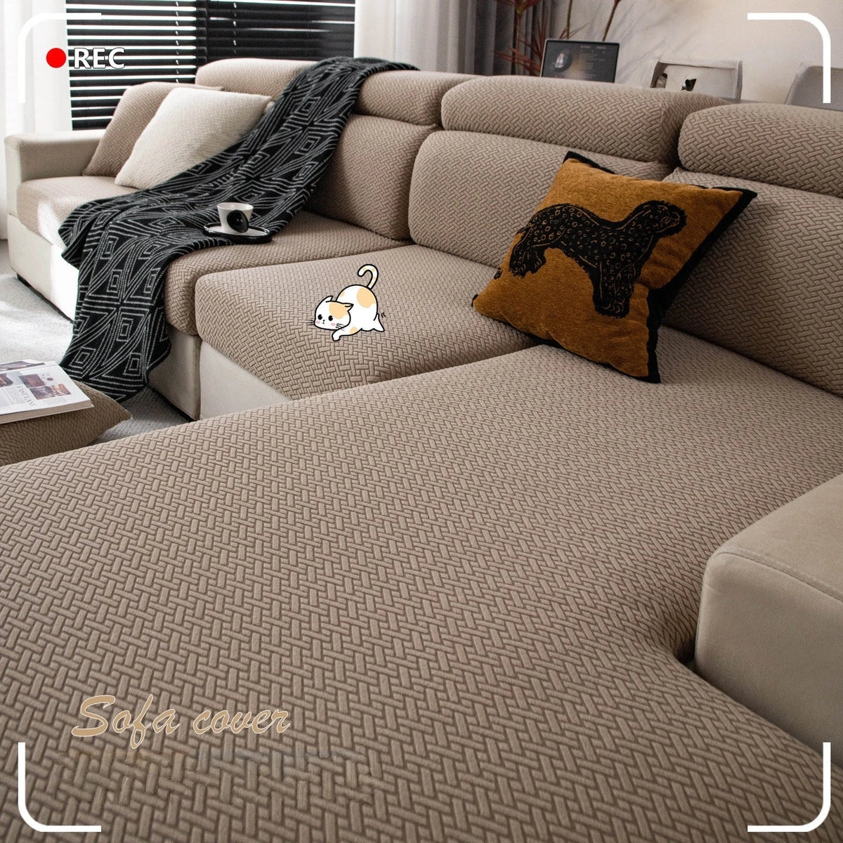 https://ae-pic-a1.aliexpress-media.com/kf/Sba54bffe0fa541a29b0905389d89d187y.jpg_500x500.jpg_.webp